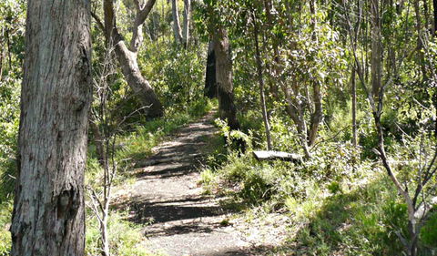 Euglah Rock Walking Track - Accommodation Perth 0