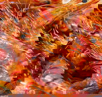 Fish and Fowl - Perth Resorts