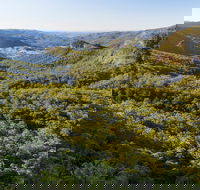 Gold Coast Hinterland Great Walk - Accommodation Perth