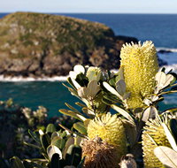 Green Island Walking Track - Accommodation Perth