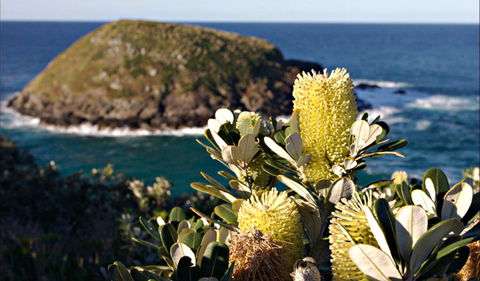 Green Island Walking Track - Accommodation Perth 0