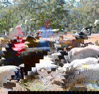 Haigslea EWE Nique Hobby Farm - Accommodation Perth