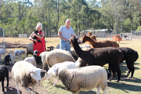 Haigslea EWE Nique Hobby Farm - Accommodation Perth 0