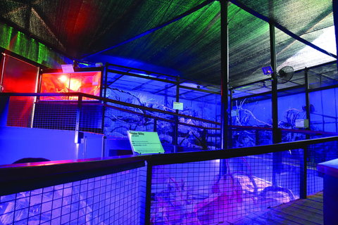 Kuranda Koala Gardens - Perth Resorts 2