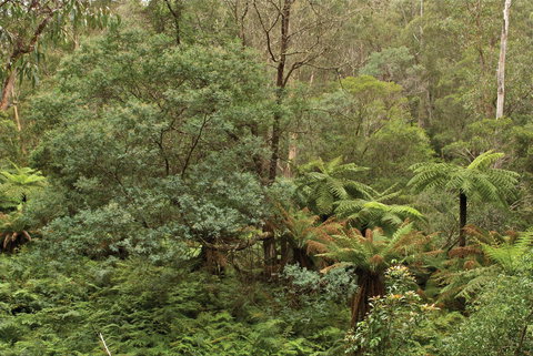 Lind National Park - Perth Resorts 0