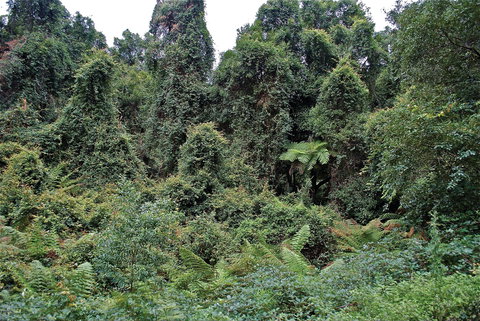 Lind National Park - Perth Resorts 1