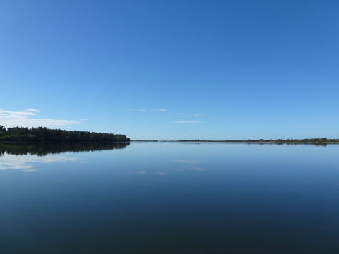 Manning River - Accommodation Perth 0