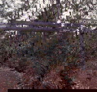 Marrinup Trail Dwellingup - Accommodation Perth