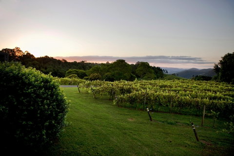 Montville - Accommodation Perth 1