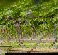 Murrumbateman - Accommodation Perth