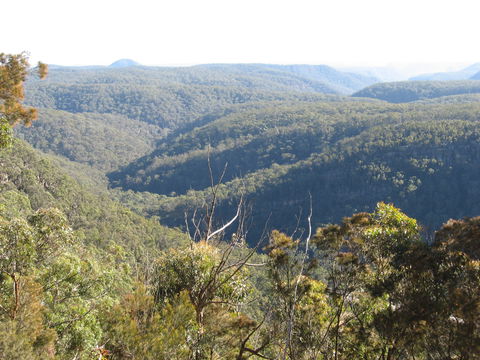 Nattai Gorge Lookout - Accommodation Perth 1