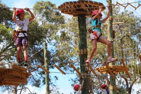 Next Level Monkey Business - Accommodation Perth 0