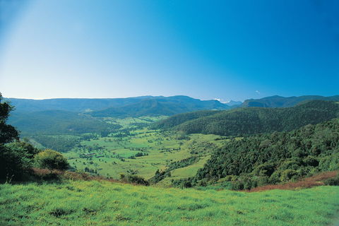 Numinbah Section, Springbrook National Park - Accommodation Perth 0