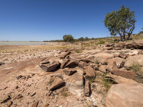 Peery Lake Picnic Area - Accommodation Perth 0
