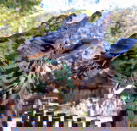 Perth Zoo - Accommodation Perth