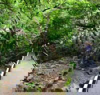 Rainforest Loop Walk Budderoo National Park - Accommodation Perth