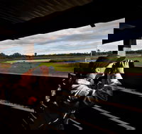 Reed Beds Bird Hide Boardwalk - Accommodation Perth