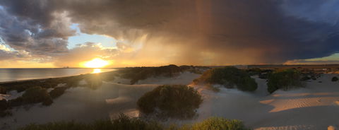 Shelly Beach Dune Walk Trail - Accommodation Perth 2