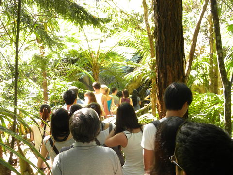 Tamborine Mountain Glow Worm Tours - Accommodation Perth 1