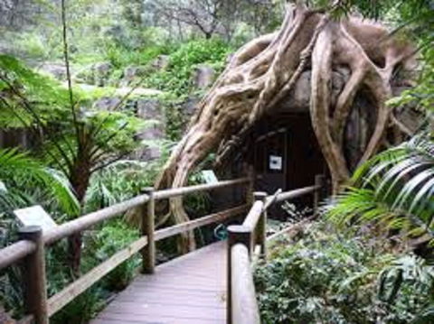 Tamborine Mountain Glow Worm Tours - Accommodation Perth 2