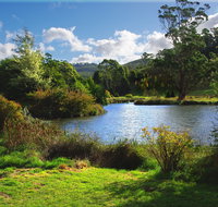 Tasmanian Arboretum Inc. - The - Accommodation Perth