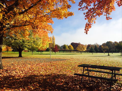 Tenterfield - Accommodation Perth 2