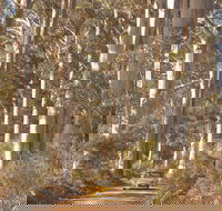 The Great Forest Trees Drive - Accommodation Perth