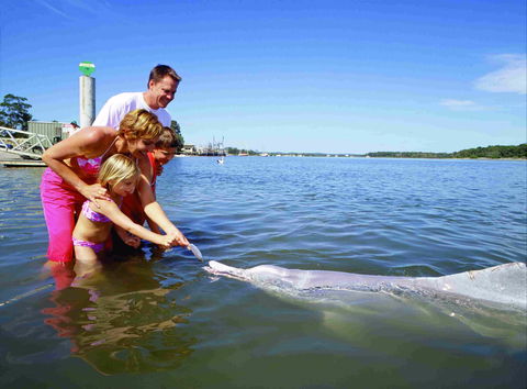 Tourist Drive- Cooloola Coast Fraser Island - Accommodation Perth 2