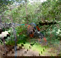 TreeTop Challenge - Accommodation Perth
