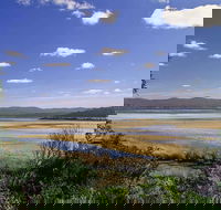 Wallagoot Lake Picnic Area and Boat Ramp - Accommodation Perth