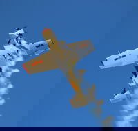 Warbird Aerial Adventures - Perth Resorts