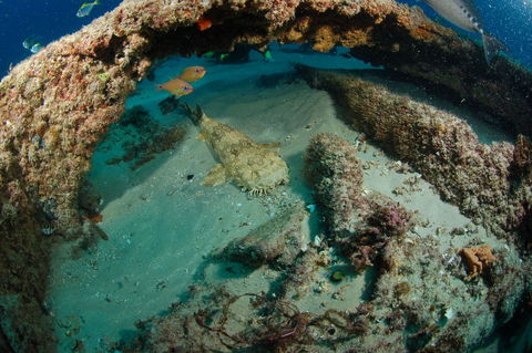 Aarhus Dive Site - Accommodation Perth 2
