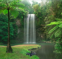Atherton Tablelands - Accommodation Perth