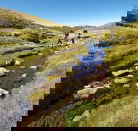 Australian Alps Walking Track - Perth Resorts