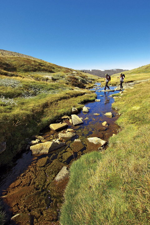 Australian Alps Walking Track - Perth Resorts 0