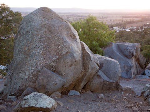 Bellevue Hill Reserve - Accommodation Perth 0
