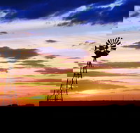 Bell - Accommodation Perth