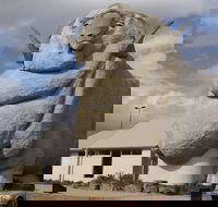Big Merino - Accommodation Perth