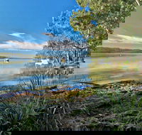 Black Oaks Picnic Area - Accommodation Perth