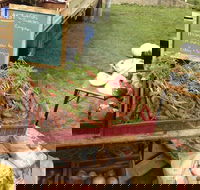 Burnie Farmers Market - Accommodation Perth