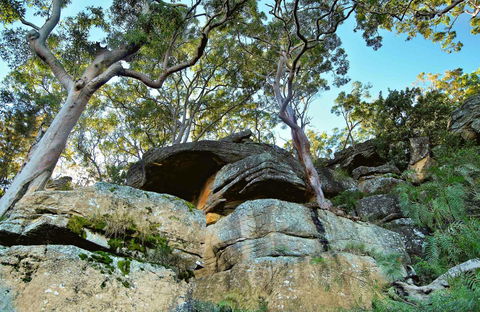 Burrawang Reach Picnic Area - Accommodation Perth 0
