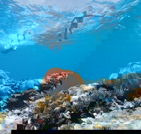 Capricorn Coast and Great Keppel Island Drive Itinerary - Accommodation Perth