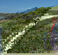 Conjola Beach Picnic Area - Accommodation Perth