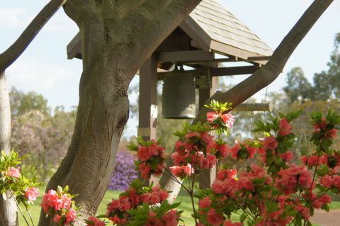Cowra Japanese Garden And Cultural Centre - Accommodation Perth 1