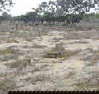 Culgoa Connellys Track - Accommodation Perth