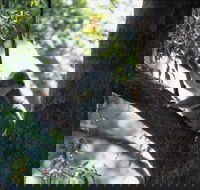 Daisy Hill - Accommodation Perth