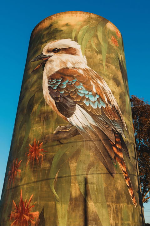 Deniliquin Water Tower Mural - Accommodation Perth 0