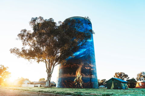 Deniliquin Water Tower Mural - Accommodation Perth 1