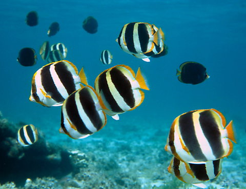 Erscott's Hole - Accommodation Perth 1