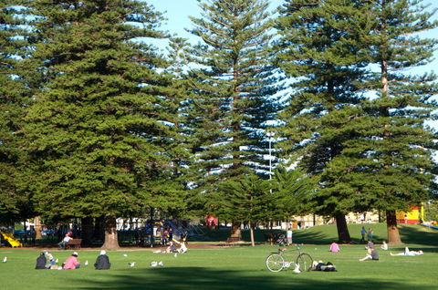 Esplanade Reserve - Accommodation Perth 0